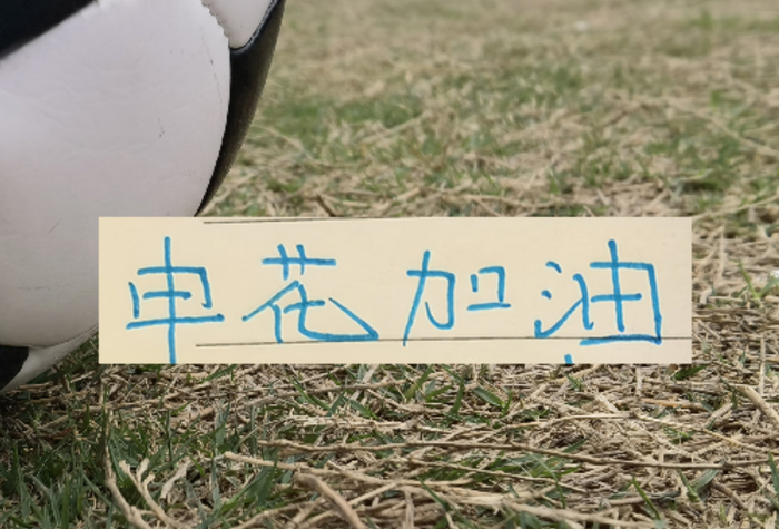 leyu管理-如果没有罚分的话！申花应该是夺冠热门|上海申花|联赛|成都|中超|上海申花足球俱乐部_新浪体育_新浪新闻